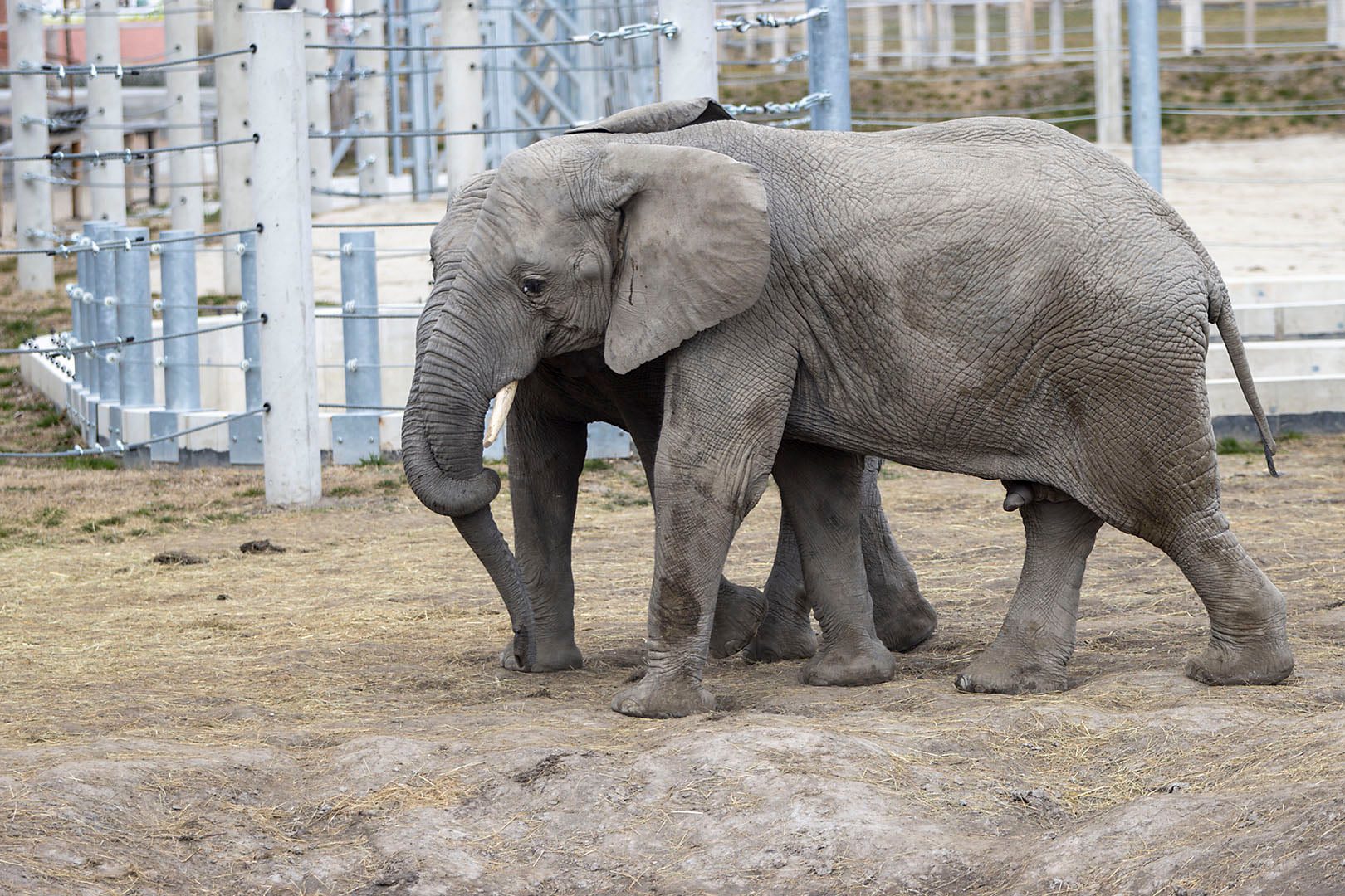 Earth Day at the Zoo